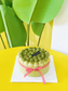 Matcha Tiramisu